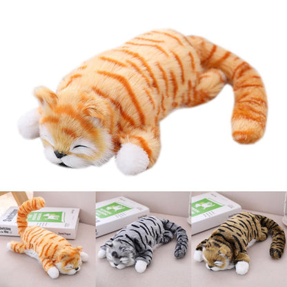 Chat Ragdoll électronique en peluche – Interactif, doux et réaliste, à partir de 3 ans