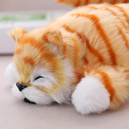 Chat Ragdoll électronique en peluche – Interactif, doux et réaliste, à partir de 3 ans